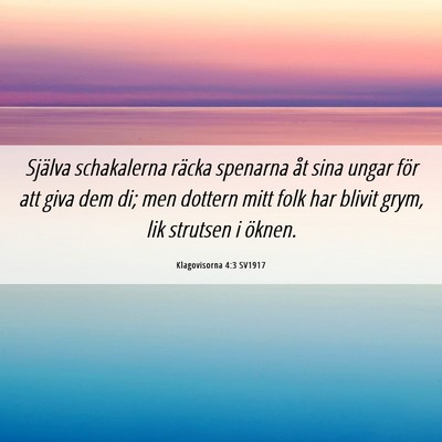 Picture 06 - Klagovisorna 4:3 SV1917 - Själva schakalerna räcka spenarna åt sina - Bible Verse Picture