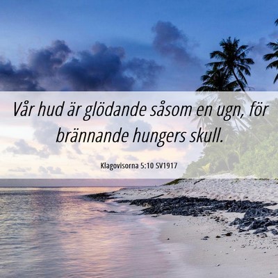 Picture 06 - Klagovisorna 5:10 SV1917 - Vår hud är glödande såsom en ugn, för - Bible Verse Picture