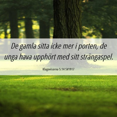Picture 06 - Klagovisorna 5:14 SV1917 - De gamla sitta icke mer i porten, de unga hava - Bible Verse Picture