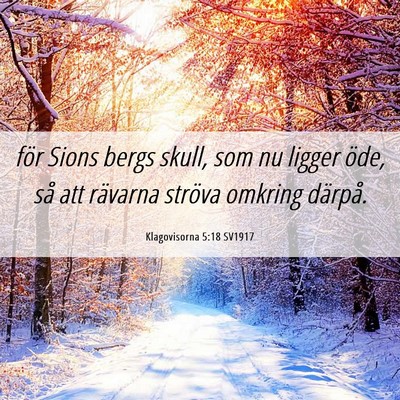 Picture 06 - Klagovisorna 5:18 SV1917 - för Sions bergs skull, som nu ligger öde, så - Bible Verse Picture