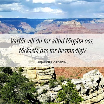 Picture 06 - Klagovisorna 5:20 SV1917 - Varför vill du för alltid förgäta oss, - Bible Verse Picture