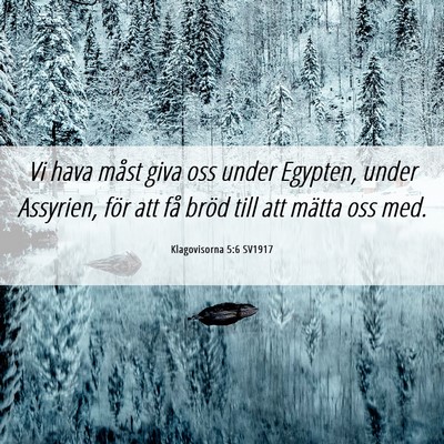 Picture 06 - Klagovisorna 5:6 SV1917 - Vi hava måst giva oss under Egypten, under - Bible Verse Picture