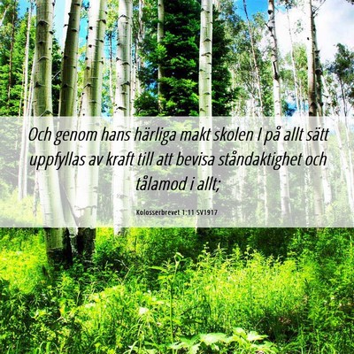 Picture 06 - Kolosserbrevet 1:11 SV1917 - Och genom hans härliga makt skolen I på allt - Bible Verse Picture