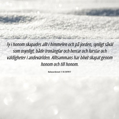 Picture 06 - Kolosserbrevet 1:16 SV1917 - Ty i honom skapades allt i himmelen och på - Bible Verse Picture