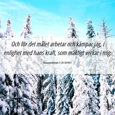 Picture 06 - Kolosserbrevet 1:29 SV1917 - Och för det målet arbetar och kämpar jag, i - Bible Verse Picture