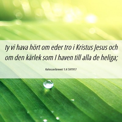 Picture 06 - Kolosserbrevet 1:4 SV1917 - ty vi hava hört om eder tro i Kristus Jesus och - Bible Verse Picture