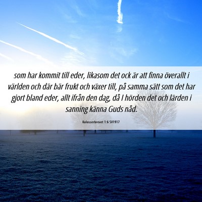 Picture 06 - Kolosserbrevet 1:6 SV1917 - som har kommit till eder, likasom det ock är att - Bible Verse Picture