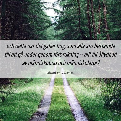 Picture 06 - Kolosserbrevet 2:22 SV1917 - och detta när det gäller ting, som alla äro - Bible Verse Picture