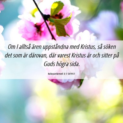 Picture 06 - Kolosserbrevet 3:1 SV1917 - Om I alltså ären uppståndna med Kristus, så - Bible Verse Picture