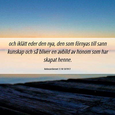 Picture 06 - Kolosserbrevet 3:10 SV1917 - och iklätt eder den nya, den som förnyas till - Bible Verse Picture