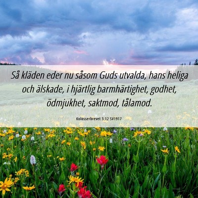 Picture 06 - Kolosserbrevet 3:12 SV1917 - Så kläden eder nu såsom Guds utvalda, hans - Bible Verse Picture