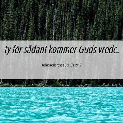 Picture 06 - Kolosserbrevet 3:6 SV1917 - ty för sådant kommer Guds - Bible Verse Picture
