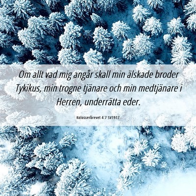 Picture 06 - Kolosserbrevet 4:7 SV1917 - Om allt vad mig angår skall min älskade broder - Bible Verse Picture