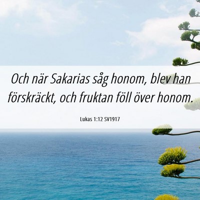 Picture 06 - Lukas 1:12 SV1917 - Och när Sakarias såg honom, blev han - Bible Verse Picture