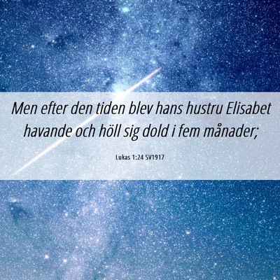 Picture 06 - Lukas 1:24 SV1917 - Men efter den tiden blev hans hustru Elisabet - Bible Verse Picture