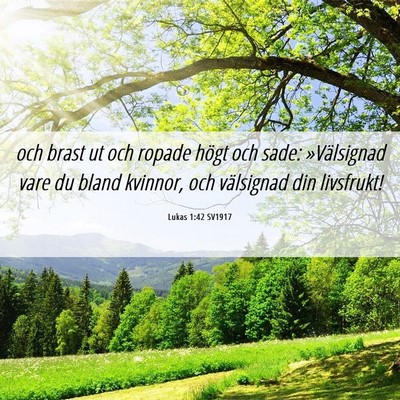 Picture 06 - Lukas 1:42 SV1917 - och brast ut och ropade högt och sade: - Bible Verse Picture