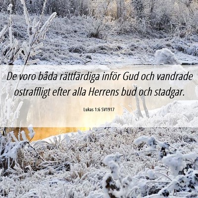 Picture 06 - Lukas 1:6 SV1917 - De voro båda rättfärdiga inför Gud och - Bible Verse Picture