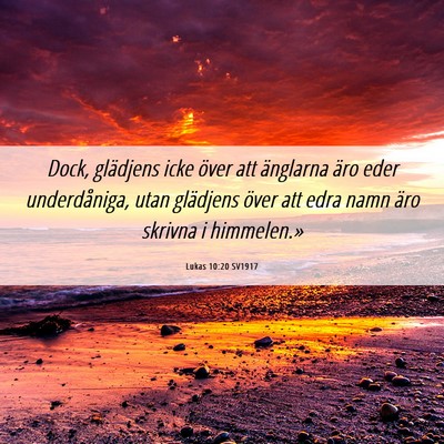 Picture 06 - Lukas 10:20 SV1917 - Dock, glädjens icke över att änglarna äro - Bible Verse Picture