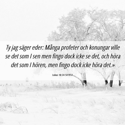 Picture 06 - Lukas 10:24 SV1917 - Ty jag säger eder: Många profeter och konungar - Bible Verse Picture