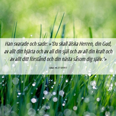Picture 06 - Lukas 10:27 SV1917 - Han svarade och sade: »'Du skall älska Herren, - Bible Verse Picture