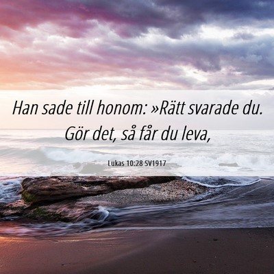 Picture 06 - Lukas 10:28 SV1917 - Han sade till honom: »Rätt svarade du. Gör - Bible Verse Picture