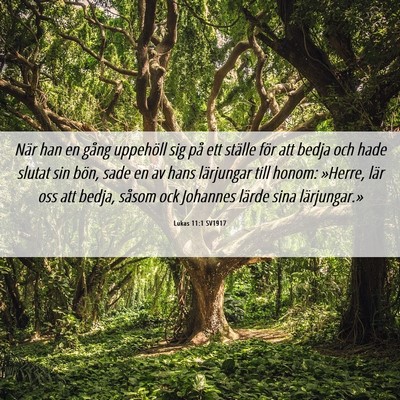 Picture 06 - Lukas 11:1 SV1917 - När han en gång uppehöll sig på ett ställe - Bible Verse Picture