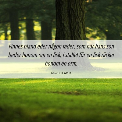 Picture 06 - Lukas 11:11 SV1917 - Finnes bland eder någon fader, som när hans son - Bible Verse Picture