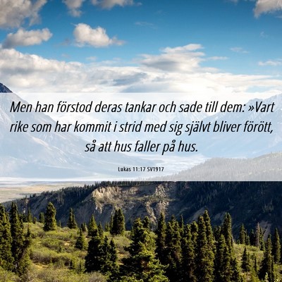 Picture 06 - Lukas 11:17 SV1917 - Men han förstod deras tankar och sade till dem: - Bible Verse Picture
