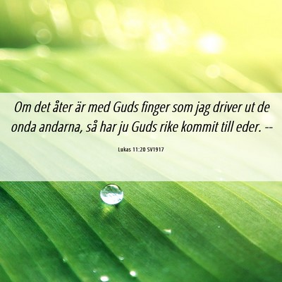 Picture 06 - Lukas 11:20 SV1917 - Om det åter är med Guds finger som jag driver - Bible Verse Picture