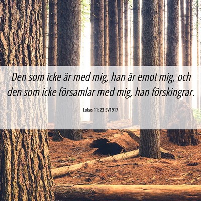 Picture 06 - Lukas 11:23 SV1917 - Den som icke är med mig, han är emot mig, och - Bible Verse Picture
