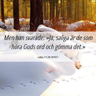 Picture 06 - Lukas 11:28 SV1917 - Men han svarade: »Ja, saliga är de som höra - Bible Verse Picture