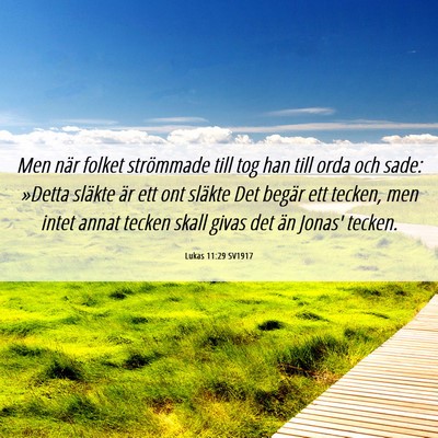 Picture 06 - Lukas 11:29 SV1917 - Men när folket strömmade till tog han till orda - Bible Verse Picture
