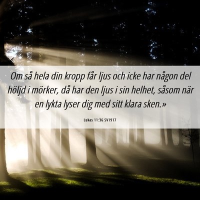 Picture 06 - Lukas 11:36 SV1917 - Om så hela din kropp får ljus och icke har - Bible Verse Picture