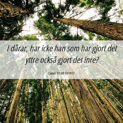 Picture 06 - Lukas 11:40 SV1917 - I dårar, har icke han som har gjort det yttre - Bible Verse Picture