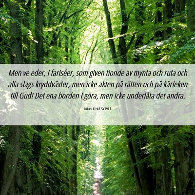 Picture 06 - Lukas 11:42 SV1917 - Men ve eder, I fariséer, som given tionde av - Bible Verse Picture