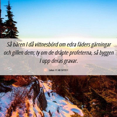 Picture 06 - Lukas 11:48 SV1917 - Så bären I då vittnesbörd om edra fäders - Bible Verse Picture