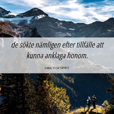 Picture 06 - Lukas 11:54 SV1917 - de sökte nämligen efter tillfälle att kunna - Bible Verse Picture