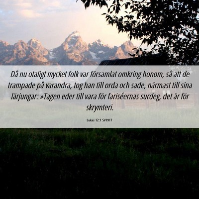 Picture 06 - Lukas 12:1 SV1917 - Då nu otaligt mycket folk var församlat omkring - Bible Verse Picture
