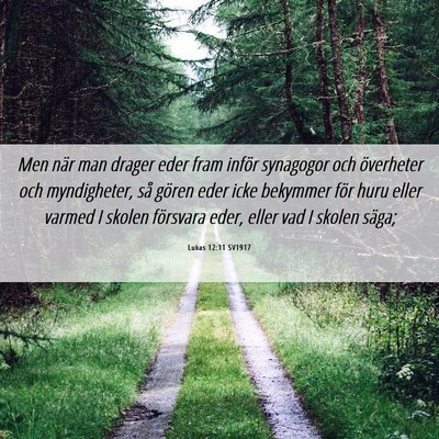 Picture 06 - Lukas 12:11 SV1917 - Men när man drager eder fram inför synagogor - Bible Verse Picture