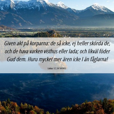 Picture 06 - Lukas 12:24 SV1917 - Given akt på korparna: de så icke, ej heller - Bible Verse Picture