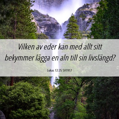 Picture 06 - Lukas 12:25 SV1917 - Vilken av eder kan med allt sitt bekymmer lägga - Bible Verse Picture