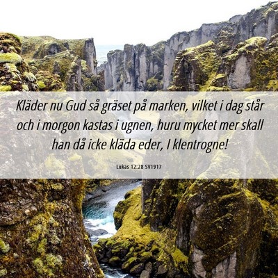 Picture 06 - Lukas 12:28 SV1917 - Kläder nu Gud så gräset på marken, vilket i - Bible Verse Picture