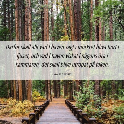 Picture 06 - Lukas 12:3 SV1917 - Därför skall allt vad I haven sagt i mörkret - Bible Verse Picture