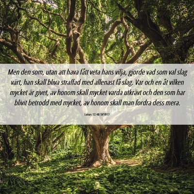 Picture 06 - Lukas 12:48 SV1917 - Men den som, utan att hava fått veta hans vilja, - Bible Verse Picture