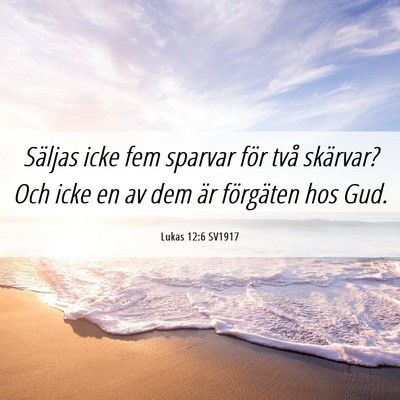 Picture 06 - Lukas 12:6 SV1917 - Säljas icke fem sparvar för två skärvar? Och - Bible Verse Picture