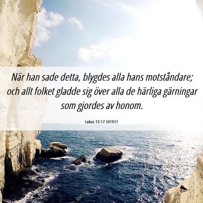 Picture 06 - Lukas 13:17 SV1917 - När han sade detta, blygdes alla hans - Bible Verse Picture