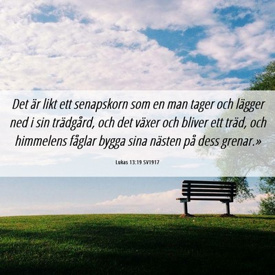 Picture 06 - Lukas 13:19 SV1917 - Det är likt ett senapskorn som en man tager och - Bible Verse Picture