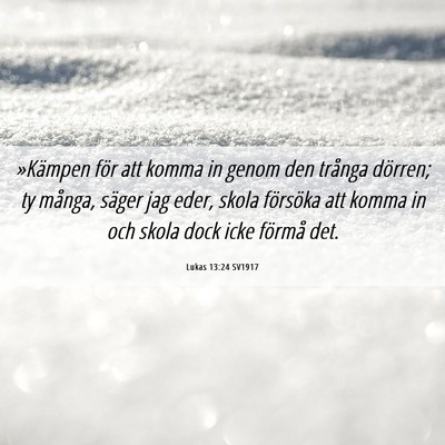 Picture 06 - Lukas 13:24 SV1917 - »Kämpen för att komma in genom den trånga - Bible Verse Picture