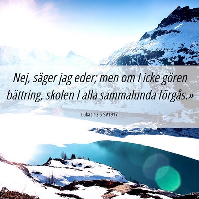 Picture 06 - Lukas 13:5 SV1917 - Nej, säger jag eder; men om I icke gören - Bible Verse Picture