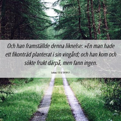 Picture 06 - Lukas 13:6 SV1917 - Och han framställde denna liknelse: »En man - Bible Verse Picture